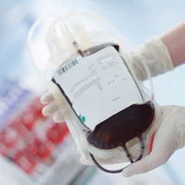 NHSBT SP-ICEs up reports