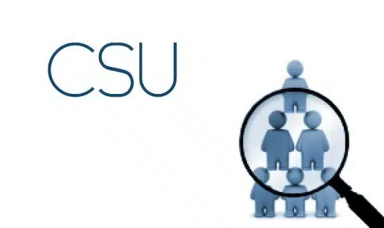Two CSUs miss framework
