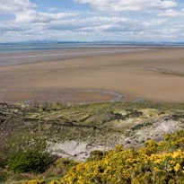 Morecambe delivers digital letters