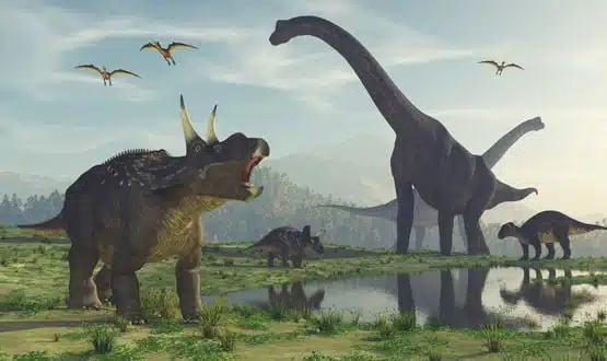 RCGP chair says GPs are not ‘technophobic dinosaurs’