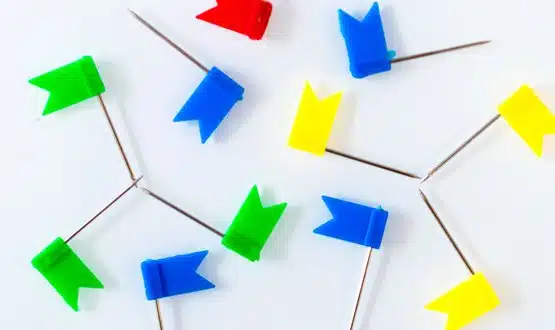 Reasonable adjustment flags to be integrated with patient record systems