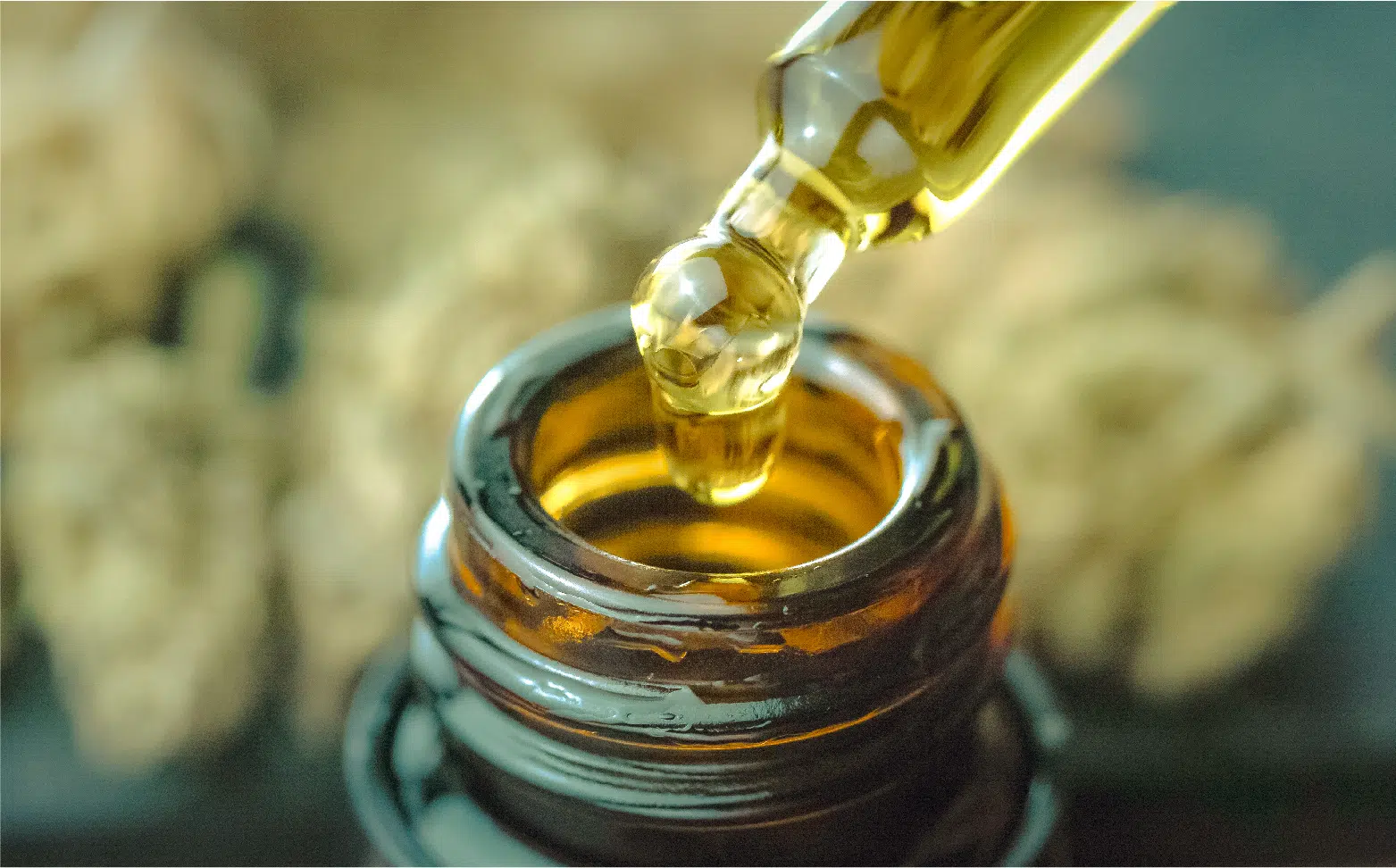 £2m tech platform launched to simplify access to medical cannabis